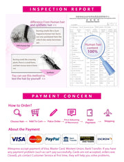 Wigs For Women Kinky Curly Lace Wig Human Hair Brazilian Hair Curly Bob Wig 200D 4X4 Lace Closure Wigs With Pre-Plucked Natural